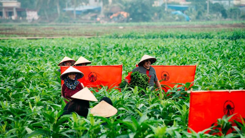 Asia Express sezonul 8, 29 septembrie 2025. Echipele au avut de trecut probe grele în această ediție. Ce s-a întâmplat