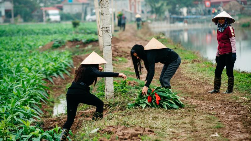 Asia Express sezonul 8, 29 septembrie 2025. Echipele au avut de trecut probe grele în această ediție. Ce s-a întâmplat