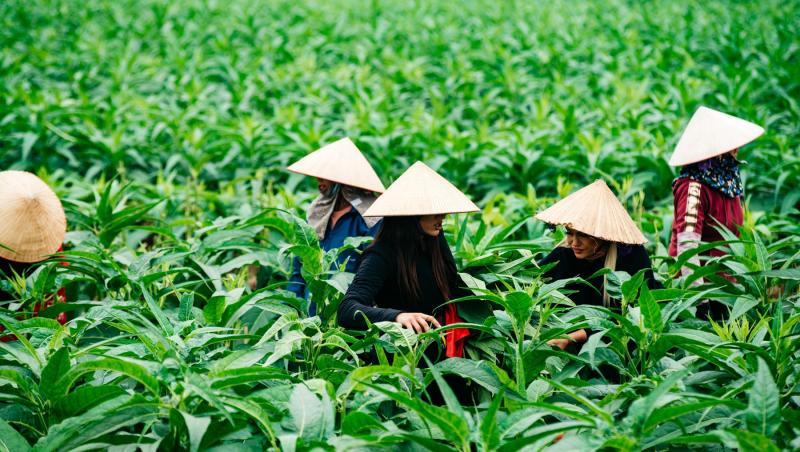 Concurenții Asia Express, cu oalele de supă prin Vietnam, spre marea imunitate. Emisiunea, din nou lider de audiență