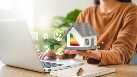 (P) Locuințele sustenabile: o preferință a cumpărătorilor? (P)