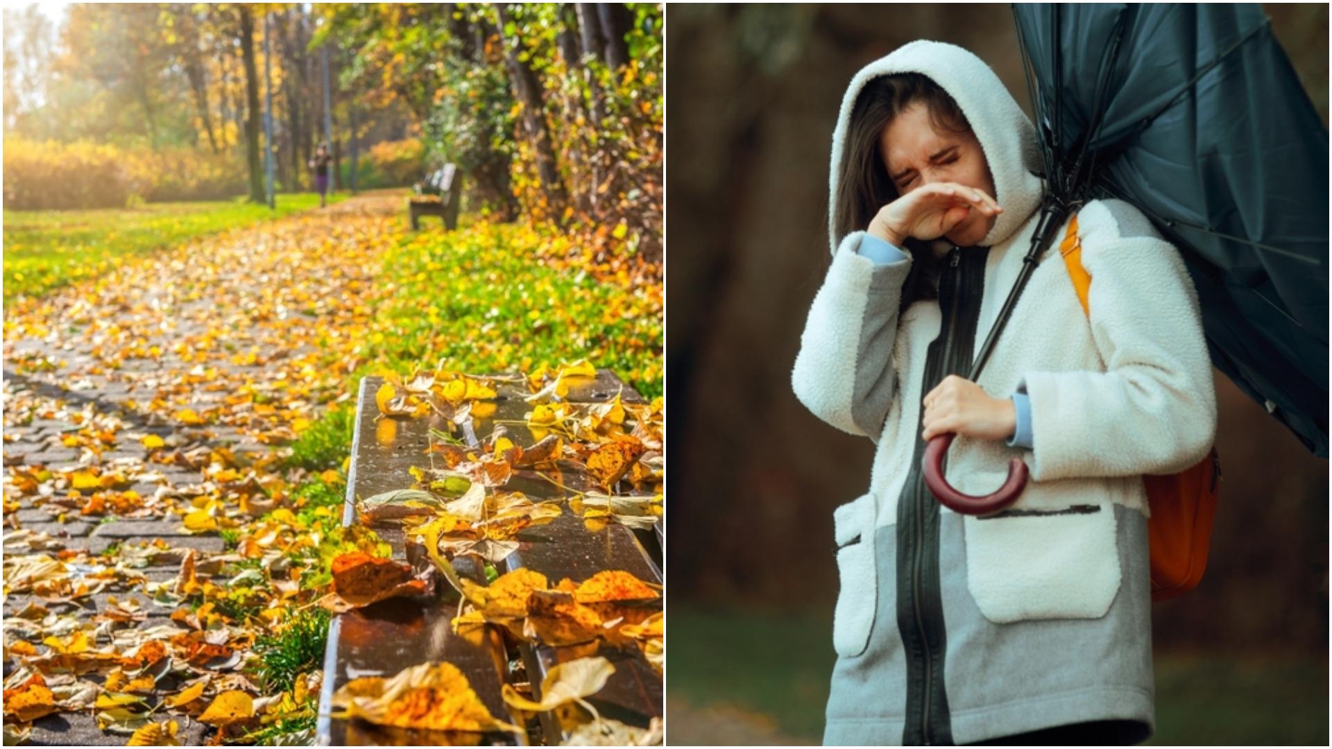 colaj foto frunze de toamna si o femeie infrigurata care tine o umbrela