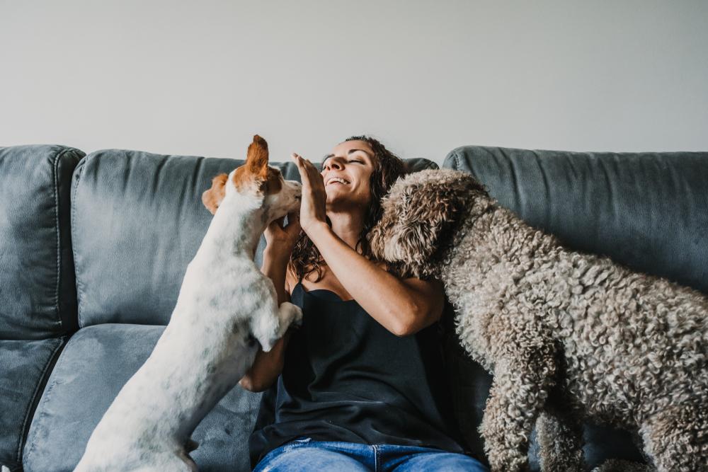 O femeie și-a instalat o cameră de supraveghere pentru câinii ei, dar ce a surprins a lăsat-o fără cuvinte. Ce s-a întâmplat