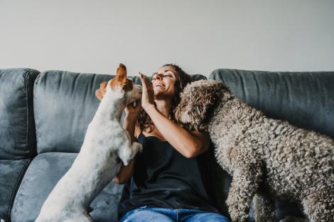 O femeie și-a instalat o cameră de supraveghere pentru câinii ei, dar ce a surprins a lăsat-o fără cuvinte. Ce s-a întâmplat