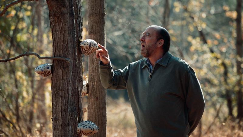 Filmele de top ale lunii septembrie. Ce producții trebuie să vezi neapărat toamna aceasta pe AntenaPLAY