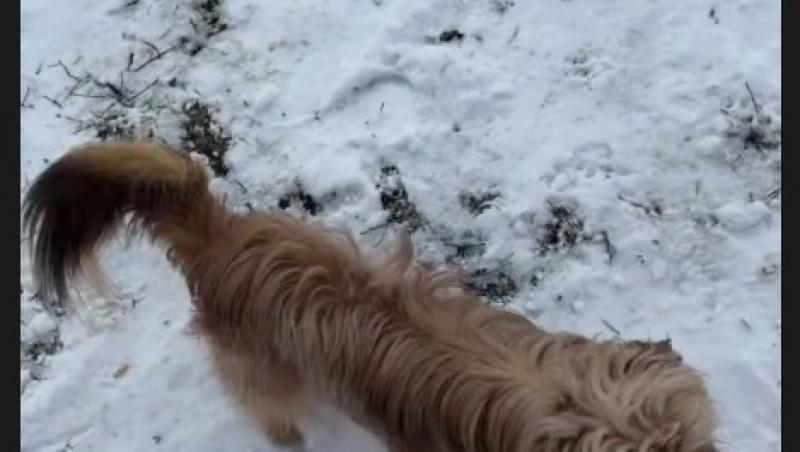 Cum arată tatăl Ramonei Olaru. Matinala de la Neatza îl serbează astăzi