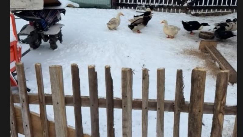 Cum arată tatăl Ramonei Olaru. Matinala de la Neatza îl serbează astăzi