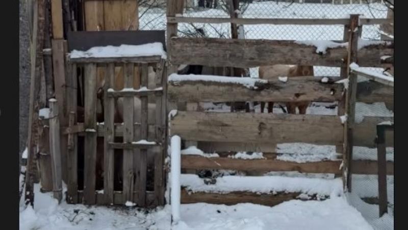 Cum arată tatăl Ramonei Olaru. Matinala de la Neatza îl serbează astăzi