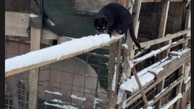 Cum arată tatăl Ramonei Olaru. Matinala de la Neatza îl serbează astăzi