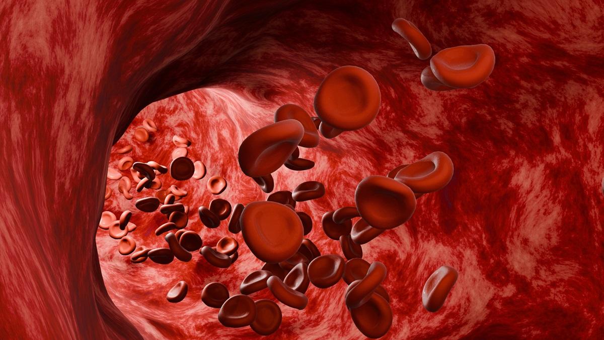 Mister din corpul uman rezolvat după 50 de ani. Cum sunt &bdquo;&icirc;nviate&rdquo; unele celule