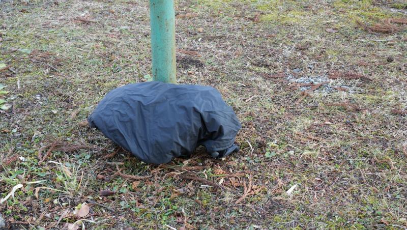 Un muncitor în construcții săpa în pământ atunci când a găsit o adevărată comoară! Peste ce a putut să dea, când a deschis sacul