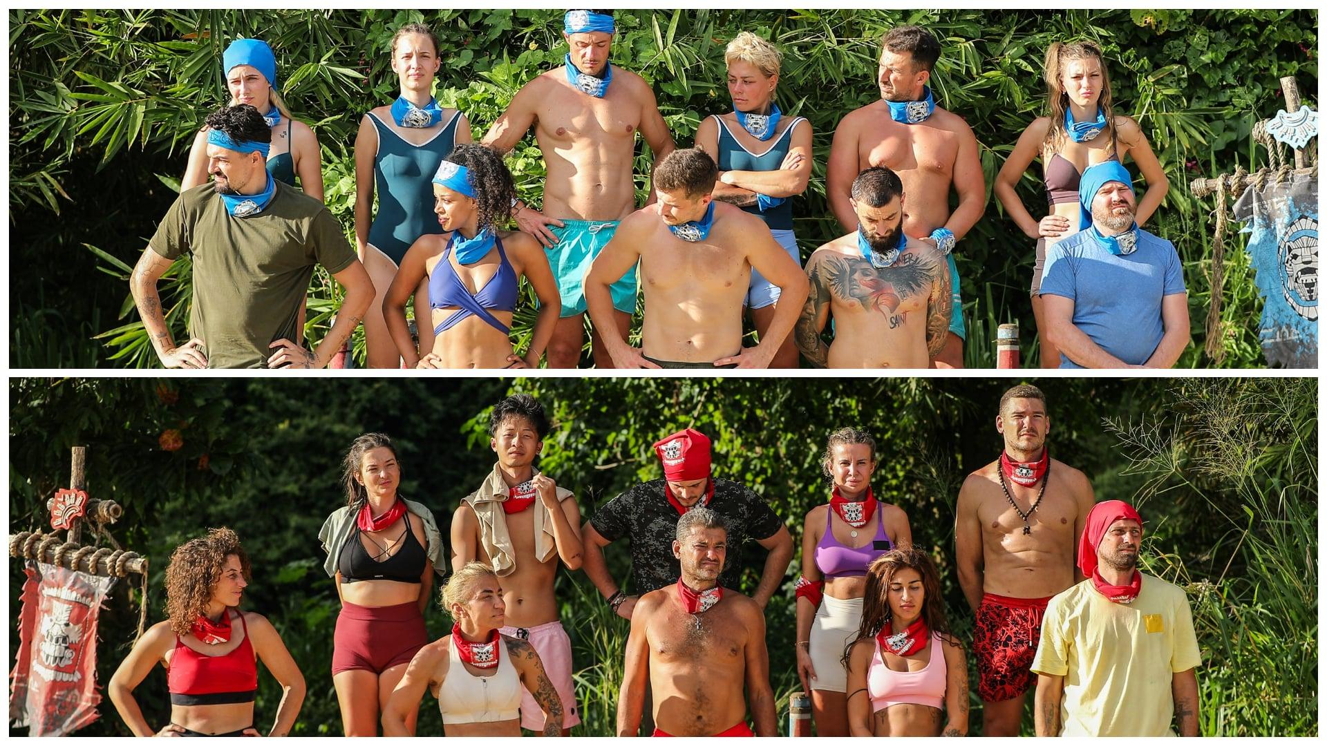 Colaj cu concurentii survivor