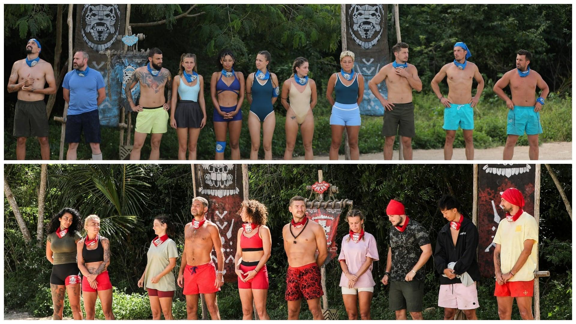 Colaj cu concurentii survivor