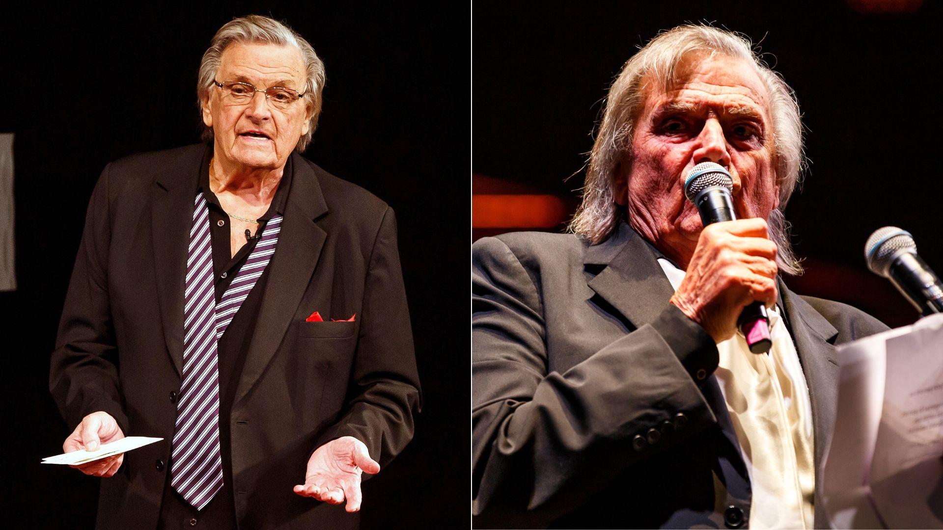 colaj florin piersic