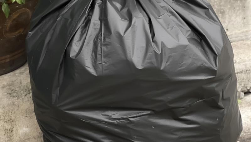 Unde poți arunca bradul natural după ce l-ai despodobit. Amenzi uriașe pentru cei care nu respectă regulile