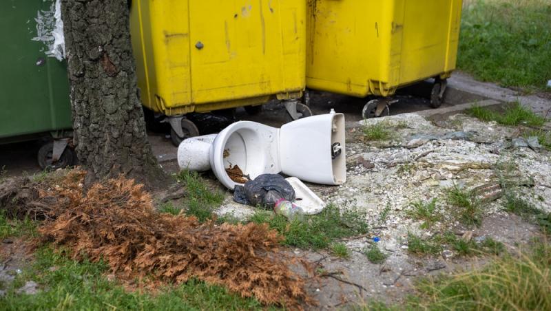 Unde poți arunca bradul natural după ce l-ai despodobit. Amenzi uriașe pentru cei care nu respectă regulile