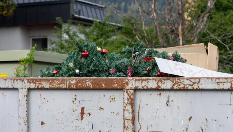 Unde poți arunca bradul natural după ce l-ai despodobit. Amenzi uriașe pentru cei care nu respectă regulile