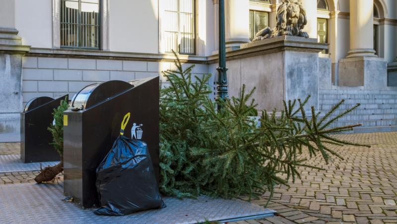 Unde poți arunca bradul natural după ce l-ai despodobit. Amenzi uriașe pentru cei care nu respectă regulile