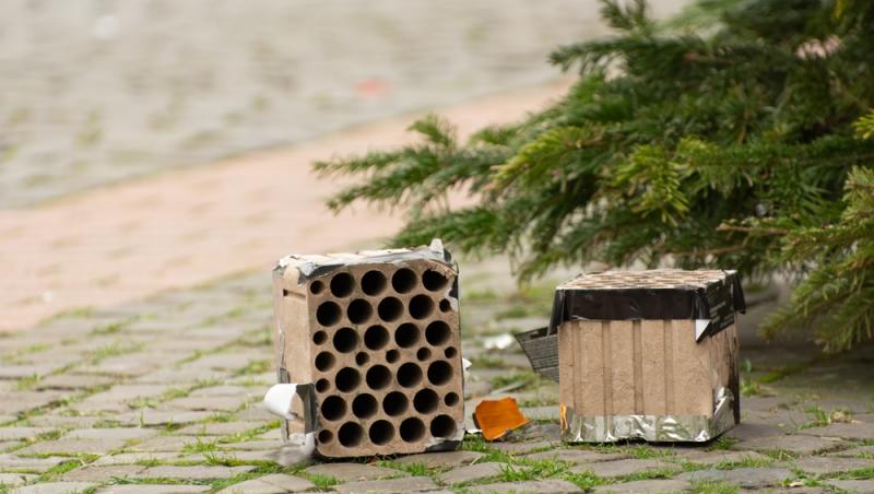 Unde poți arunca bradul natural după ce l-ai despodobit. Amenzi uriașe pentru cei care nu respectă regulile