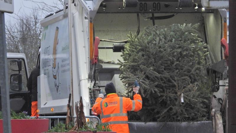 Unde poți arunca bradul natural după ce l-ai despodobit. Amenzi uriașe pentru cei care nu respectă regulile