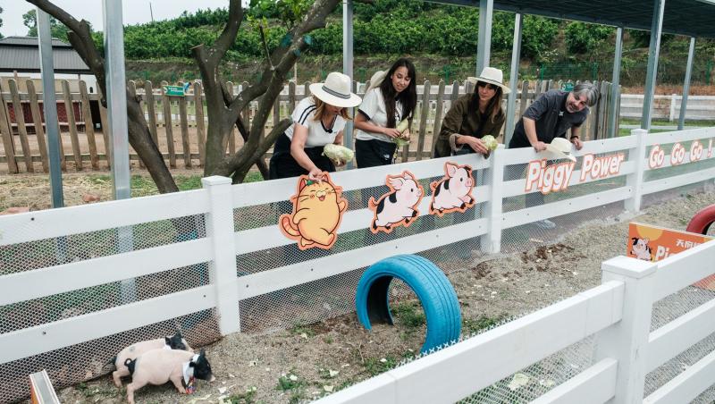 Opera Sichuan și mult așteptatul schimb de echipe, diseară, la Asia Express! Etapa a șasea începe cu o zi plină pe Drumul Mătăsii