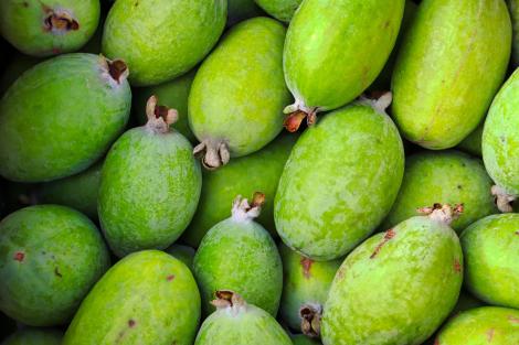 Fructul care miroase a ananas și poate crește și &icirc;n grădinile din Rom&acirc;nia. Puțini știu cum se consumă
