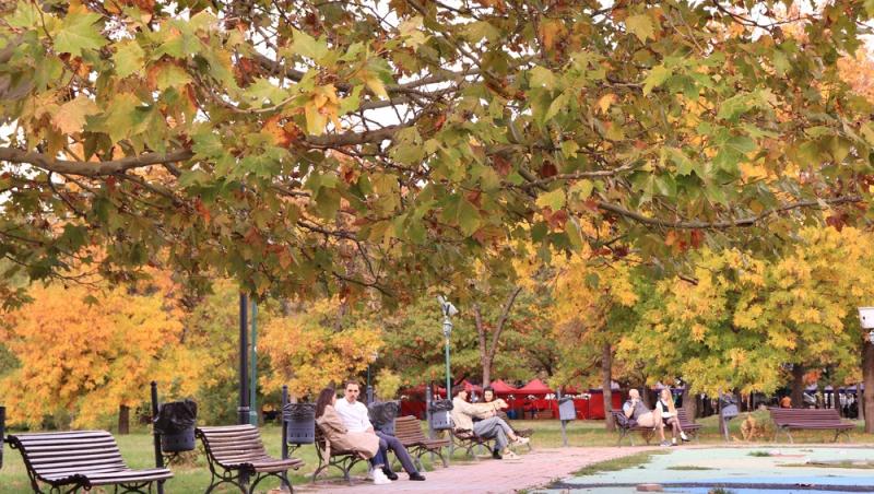 Ce poți face în weekendul 16-18 octombrie 2026, în București și în țară. Festivaluri, concerte și evenimente pentru toate vârstele