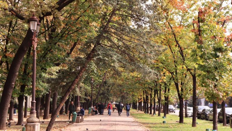 Ce poți face în weekendul 16-18 octombrie 2026, în București și în țară. Festivaluri, concerte și evenimente pentru toate vârstele