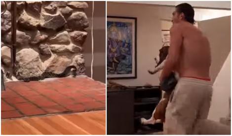 Un cuplu de influenceri s-a trezit cu un șarpe uriaș și veninos &icirc;n sufragerie. Imaginile care au devenit virale | VIDEO
