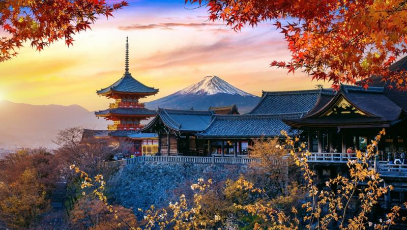 Cât a costat-o pe o româncă o vacanță de 15 zile în Japonia. Suma pentru zbor, cazare și experiențele din Tokyo, Kyoto și Osaka