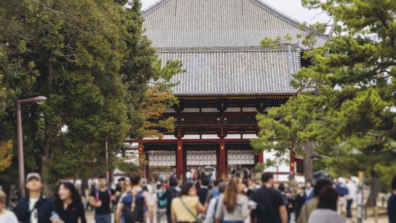 Cât a costat-o pe o româncă o vacanță de 15 zile în Japonia. Suma pentru zbor, cazare și experiențele din Tokyo, Kyoto și Osaka