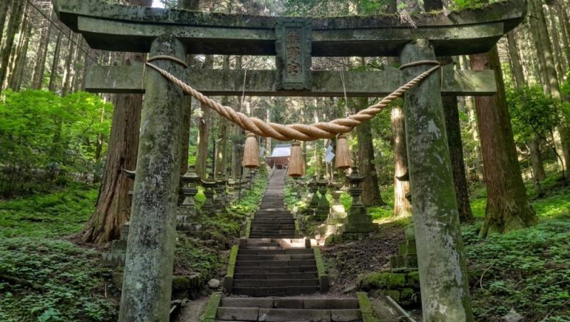 Cât a costat-o pe o româncă o vacanță de 15 zile în Japonia. Suma pentru zbor, cazare și experiențele din Tokyo, Kyoto și Osaka