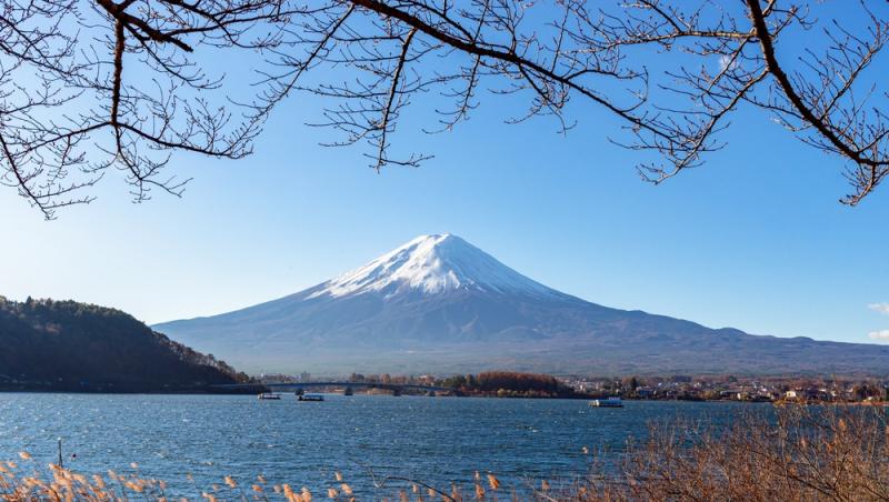Cât a costat-o pe o româncă o vacanță de 15 zile în Japonia. Suma pentru zbor, cazare și experiențele din Tokyo, Kyoto și Osaka