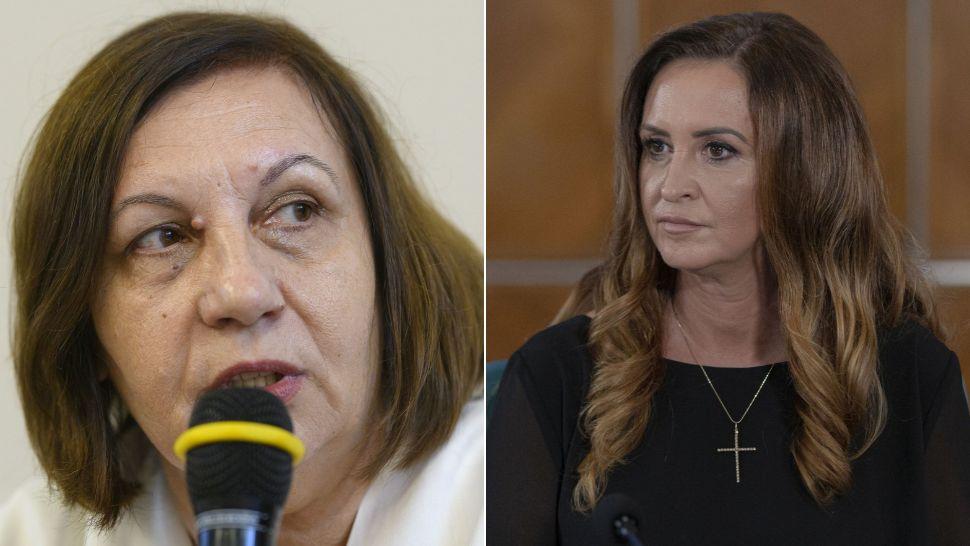 colaj elena mateescu și natalia intotero