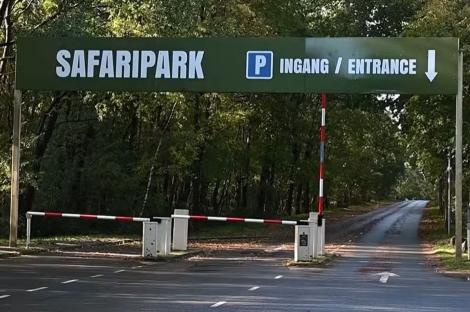 Un nou atac grav la un zoo din Europa! O femeie se zbate &icirc;ntre viață și moarte, la două săptăm&acirc;ni după tragedia cu tigrul