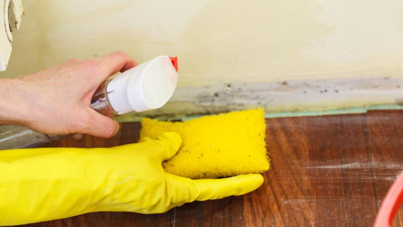 Ce poți curăța în casă cu detergent de rufe, în afară de haine. Utilizările mai puțin cunoscute care îți pot ușura munca