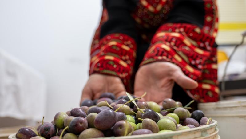 5 combinații de alimente care ajută organismul să absoarbă mai bine vitaminele și mineralele. Ce recomandă un nutriționist