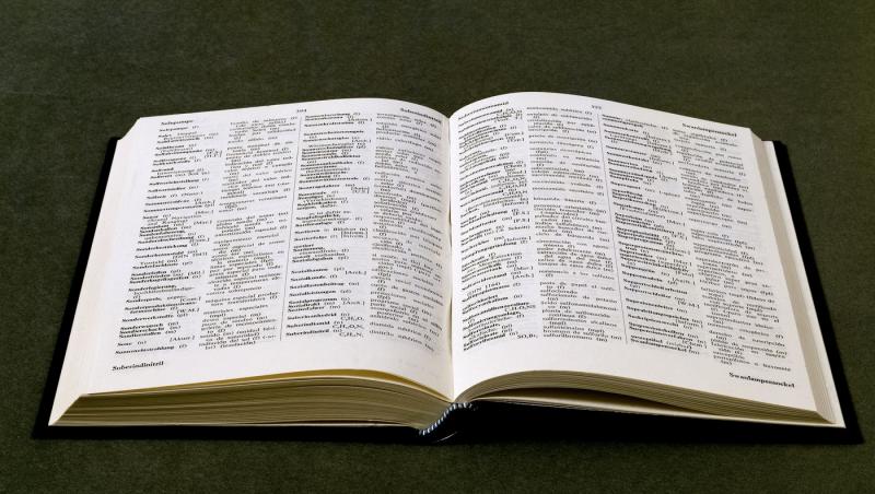 „Maxxing”, desemnat cuvântul anului 2026. Ce înseamnă termenul care a devenit popular pe rețelele de socializare