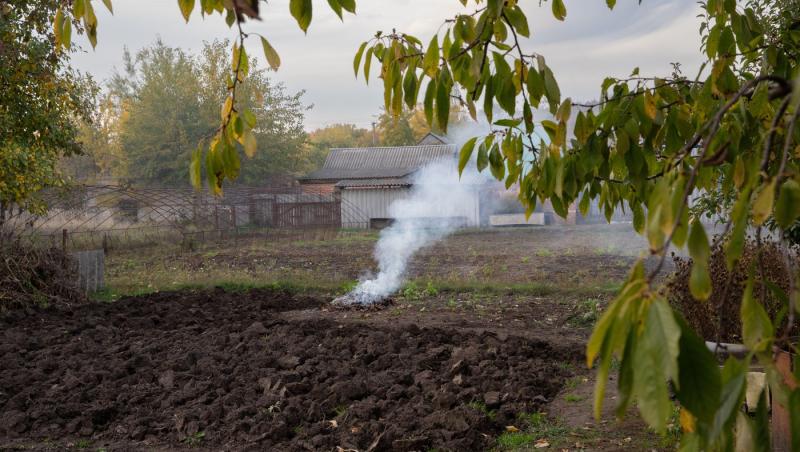 Au cumpărat o casă, dar vecinul le-a revendicat grădina. Cum i-a salvat o înțelegere de 250 de dolari, făcută în 1955