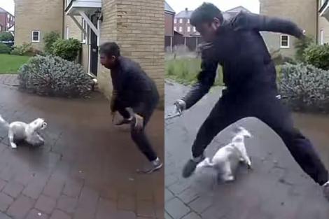 Un livrator rom&acirc;n din Londra, viral după &icirc;nt&acirc;lnirea cu un c&acirc;ine. Reacția savuroasă: &bdquo;Cuțu, please!&rdquo; | VIDEO