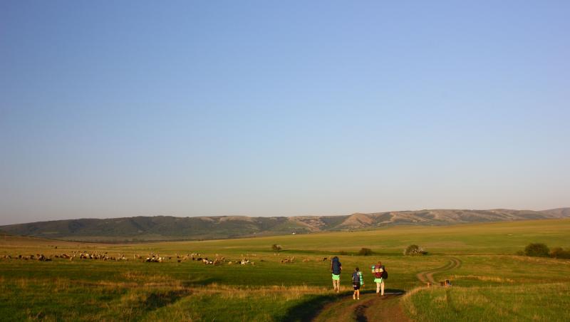 Viața la țară