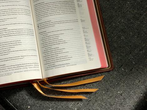 (P) Rolul traducătorului autorizat &icirc;n relația cu instituțiile statului