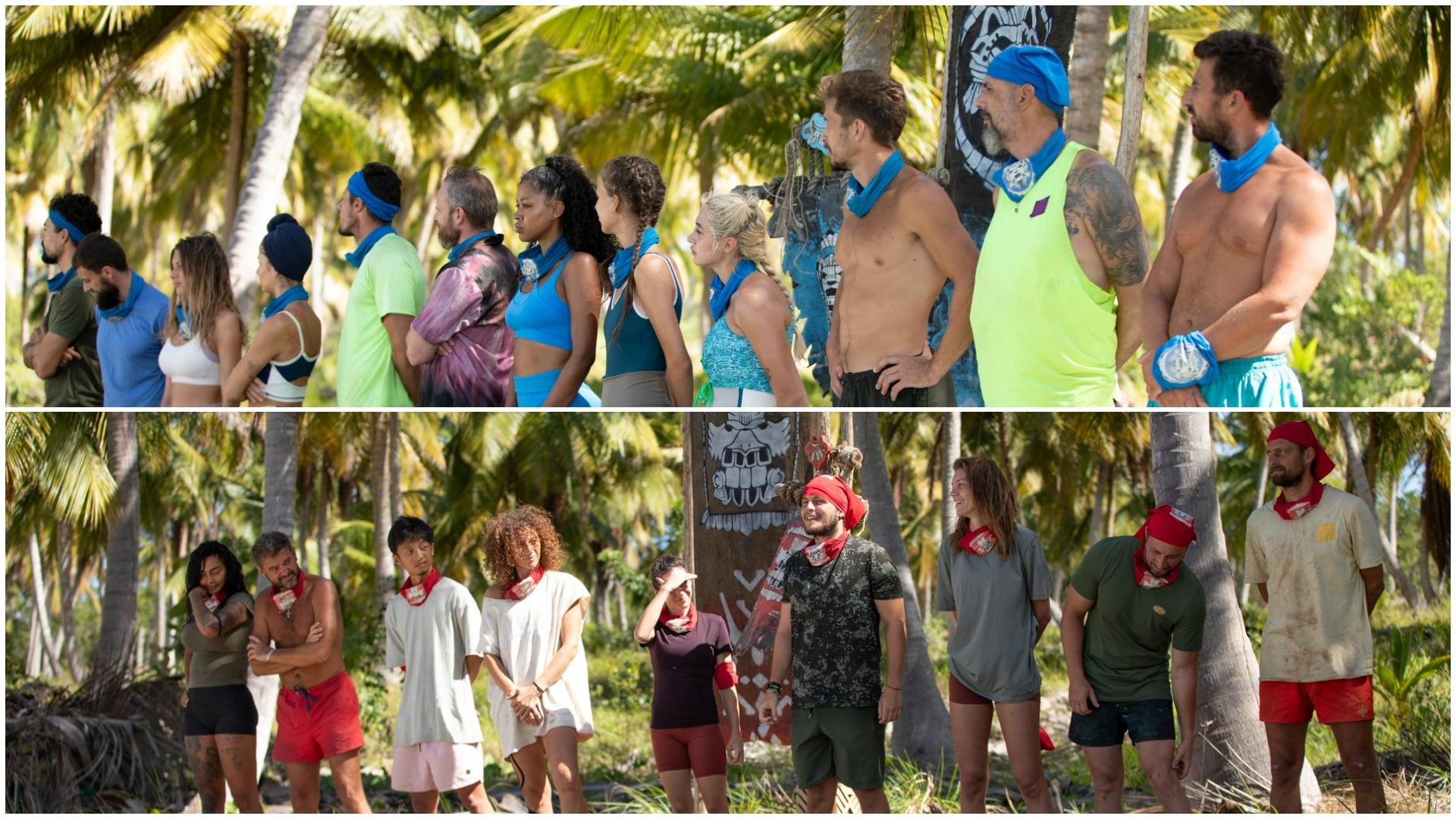 Colaj cu concurentii survivor