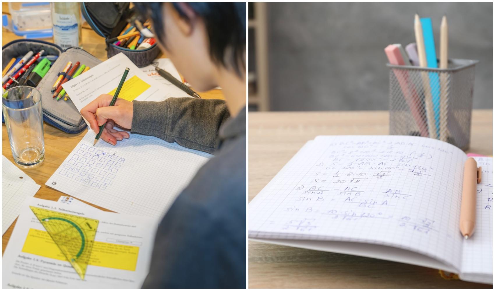 Profesor din C&acirc;mpina, uluit c&acirc;nd a auzit ce răspuns i-a dat un elev bun atunci c&acirc;nd a fost &icirc;ntrebat c&acirc;te picioare are iepurele