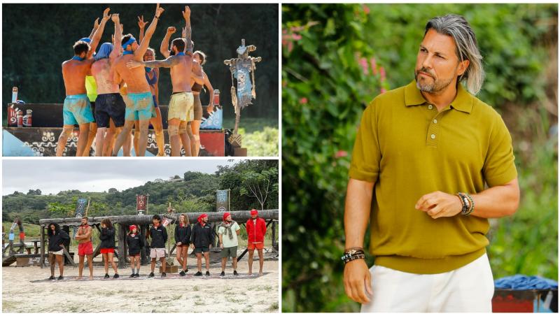 faimosi, razboinici, adi vasile, colaj