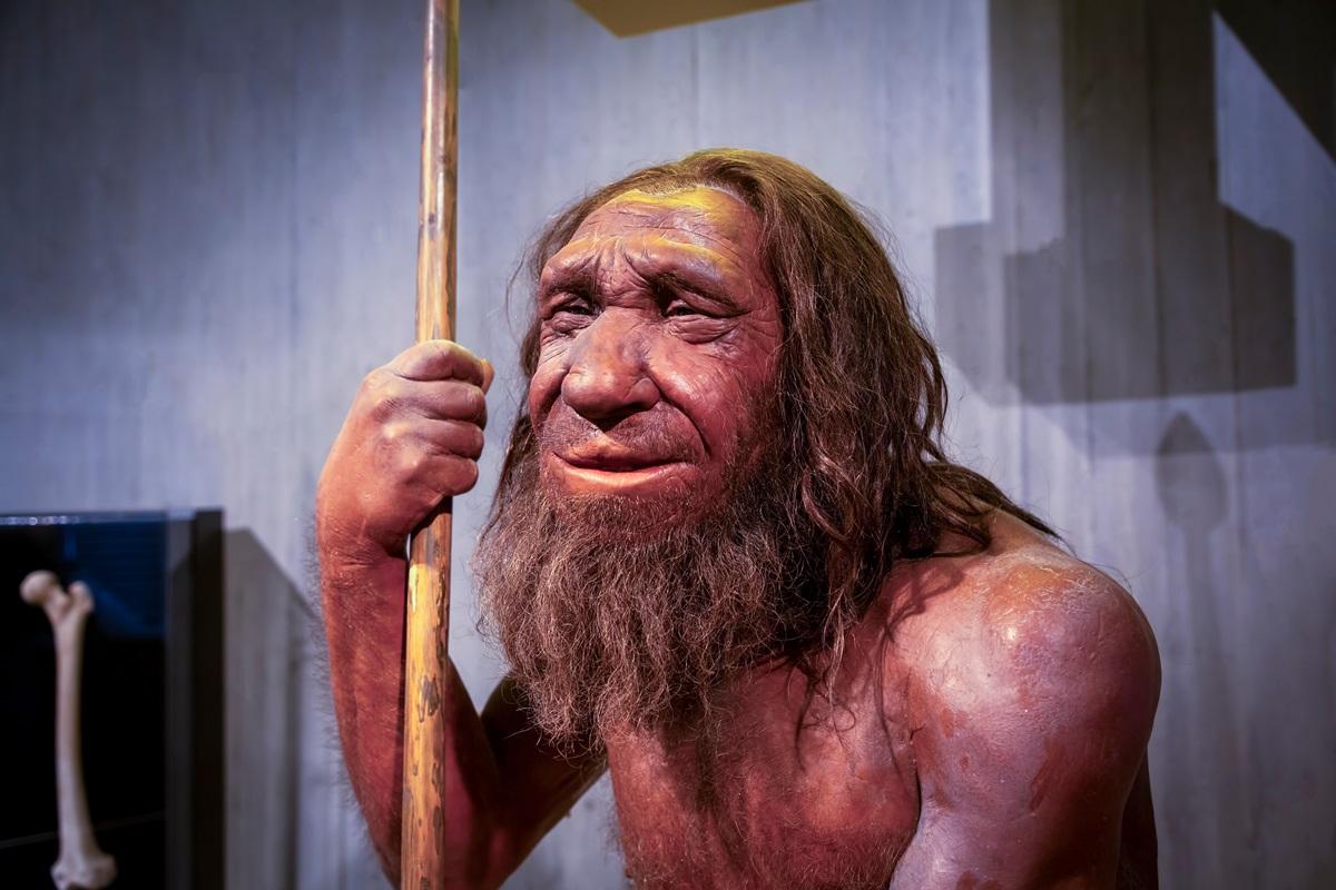 Cum s-ar fi auzit vocea omului de Neanderthal. Experții au recreat vorbirea pierdută