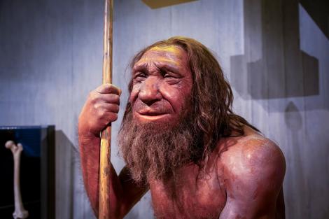 Cum s-ar fi auzit vocea omului de Neanderthal. Experții au recreat vorbirea pierdută