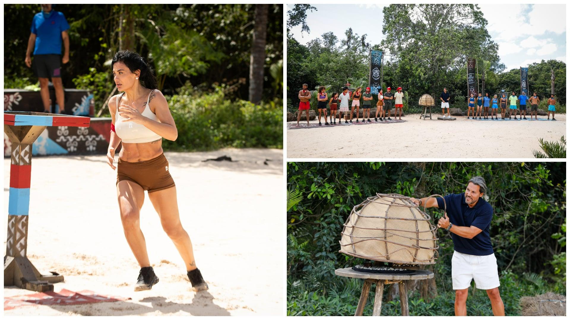 colaj survivor concurenti si adi vasile