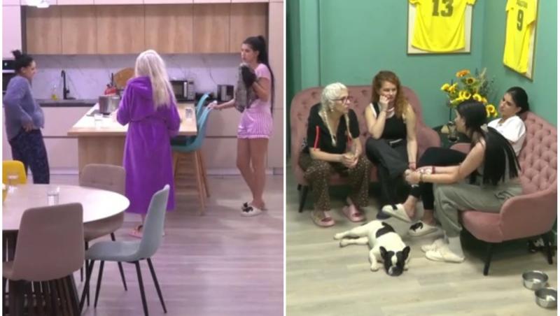 colaj foto cu concurenti din casa mireasa sezonul 13