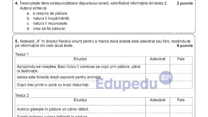 Simulare Evaluarea Națională 2026: Ce subiecte au primit elevii de clasa a VIII-a și cum a arătat baremul