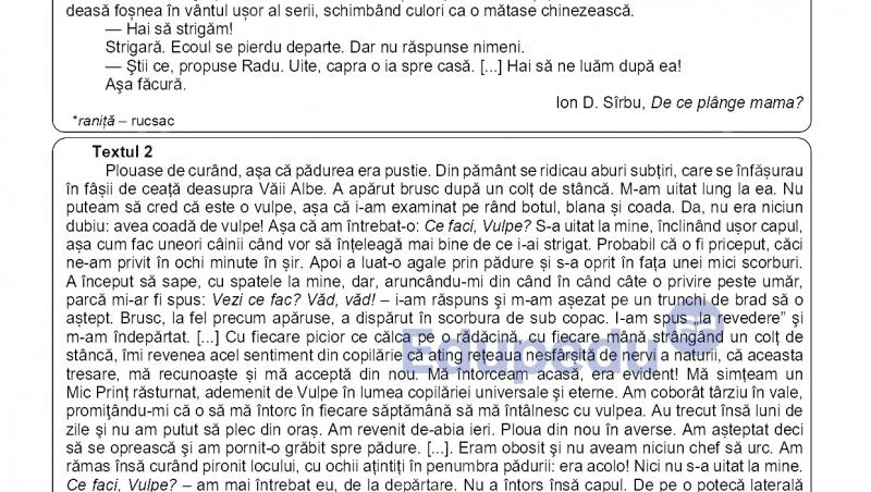 Simulare Evaluarea Națională 2026: Ce subiecte au primit elevii de clasa a VIII-a și cum a arătat baremul